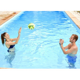 Ballon de volley