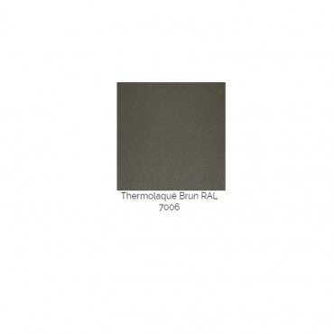 Couleur brun