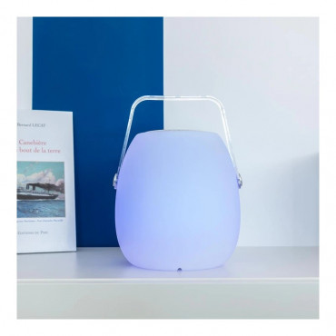 Baladeuse enceinte bluetooth sans fil LED