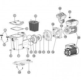 Couvercle de pompe Hayward Super Pump 2