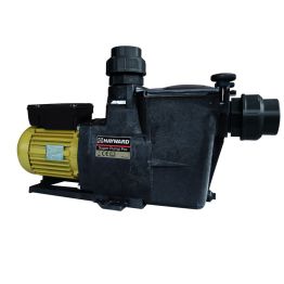Pompe de piscine Super Pump